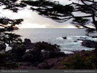 photo-Ocean-West-Trail-44-2009-01-03-07-Ucluelet-B.C.