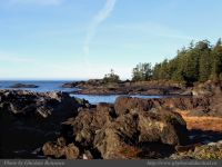 photo-Ocean-West-Trail-46-2009-01-15-25-Ucluelet-B.C.
