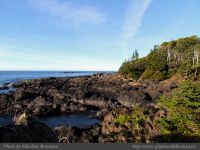 photo-Ocean-West-Trail-49-2009-01-15-62-Ucluelet-B.C.