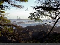 photo-Ocean-West-Trail-50-2009-01-16-42-Ucluelet-B.C.