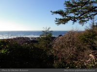 photo-Ocean-West-Trail-52-2009-01-19-72-Ucluelet-B.C.