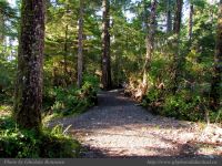 photo-Ocean-West-Trail-60-2009-01-19-54-Ucluelet-B.C.