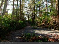 photo-Ocean-West-Trail-66-2009-01-19-65-Ucluelet-B.C.