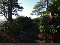 photo-Ocean-West-Trail-68-2009-01-19-68-Ucluelet-B.C.