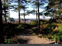 photo-Ocean-West-Trail-70-2009-01-19-77-Ucluelet-B.C.