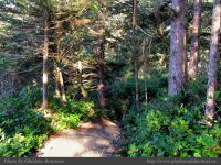 photo-Ocean-West-Trail-72-2009-01-19-79-Ucluelet-B.C.