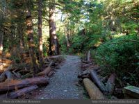 photo-Ocean-West-Trail-77-2009-01-19-85-Ucluelet-B.C.
