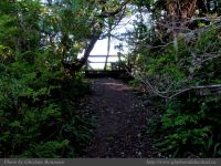 photo-Ocean-West-Trail-82-2009-01-19-95-LAST-LOOKOUT-Ucluelet-B.C.