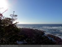 photo-Ocean-West-Trail-83-2009-01-19-102-Ucluelet-B.C.