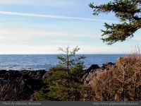 photo-Ocean-West-Trail-91-2009-01-15-21-Ucluelet-B.C.