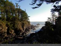 photo-Ocean-West-Trail-92-2009-01-16-01-Ucluelet-B.C.