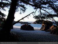 photo-SMALL-BEACH-02-2009-01-02-137-Rock-formation-on-the-Beach