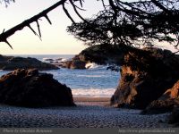 photo-SMALL-BEACH-03-2009-01-02-141-Rock-formation-on-the-Beach