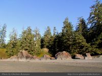 photo-SMALL-BEACH-04-2009-01-02-253-Exit-Point-from-the-Trail-to-the-Beach