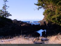 photo-SMALL-BEACH-45-2009-01-02-167-View-on-the-Trail-to-Small-Beach-Ucluelet