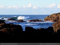 photo-SMALL-BEACH-47-2009-01-02-169-View-on-the-Trail-to-Small-Beach-Ucluelet