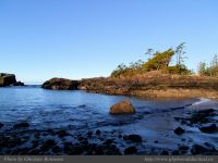 photo-SMALL-BEACH-49-2009-01-02-176-View-on-the-Trail-to-Small-Beach-Ucluelet