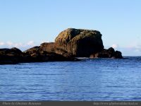 photo-SMALL-BEACH-50-2009-01-02-177-View-on-the-Trail-to-Small-Beach-Ucluelet