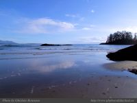 photo-Schooner-Cove-24-2009-01-02-364-View-from-the-Beach-at-Low-Tide