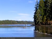 photo-Schooner-Cove-28-2009-01-02-376-Beach-Combers-at-Low-Tide
