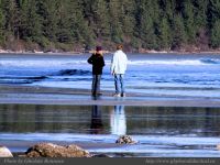 photo-Schooner-Cove-29-2009-01-02-377-Beach-Combers-at-Low-Tide