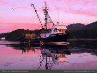 photo-Sunrise-Otter-St-27-2009-01-16-129-Royal-Viking-Going-Fishing-UCLUELET-B.C.