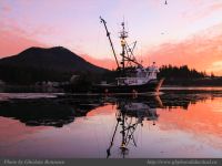photo-Sunrise-Otter-St-28-2009-01-16-133-Royal-Viking-Going-Fishing-UCLUELET-B.C.