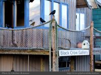 photo-Sunrise-Otter-St-65-2009-01-16-357-UCLUELET-B.C.