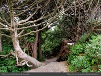photo-West-of-Amphitrite-Lighthouse-15-2008-12-17-328-Ucluelet-B.C