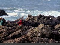 photo-West-of-Amphitrite-Lighthouse-32-2008-12-17-344-Ucluelet-B.C