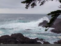 photo-West-of-Amphitrite-Lighthouse-46-2009-01-05-711-Ucluelet-B.C.