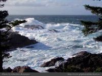 photo-West-of-Amphitrite-Lighthouse-58-2009-01-08-148-Ucluelet-B.C.