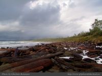 photo-Wickaninnish-Beach-04-2008-12-28-42-First-View-North-of-Wickaninnish-Beach