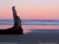 photo-Wickaninnish-Beach-41-2009-01-02-01-Standing-Log-at-Sunrise-on-Wickaninnish-Beach