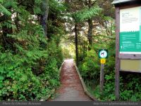 photo-Wickaninnish-Bog-Trail-03-2009-01-14-09-Trail-Start-UCLUELET-B.C.