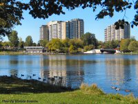 photo-animals-14-geese-2004-09-26-RIDEAU-CANOE-CLUB-AT-MOONY'S-BAY-OTTAWA