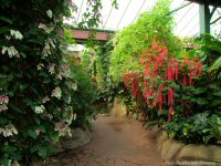 photo-butterfly-garden-14-2010-06-25-VICTORIA-B.C