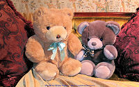 wallpaper-My-Teddy-01-OLD-COUPLE-WS