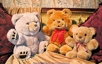 wallpaper-My-Teddy-04-WS