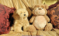 wallpaper-My-Teddy-10-WS