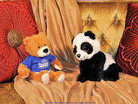 wallpaper-My-Teddy-24-Little-Panda-and-Childrens-Hospital-Teddy-FS