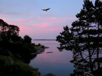 FREE wallpaper-Sunrises-Sunsets-24-Sets-from-OAK-BAY-VICTORIA-B.C-2007-07-11-FS
