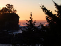 FREE wallpaper-Sunrises-Sunsets-75-Sets-HE-TIN-KIS-TRAIL-UCLUELET-B.C.-2009-01-18-FS