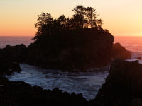 FREE wallpaper-Sunrises-Sunsets-76-Sets-HE-TIN-KIS-TRAIL-UCLUELET-B.C.-2009-01-18-FS