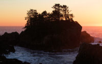 FREE wallpaper-Sunrises-Sunsets-76-Sets-HE-TIN-KIS-TRAIL-UCLUELET-B.C.-2009-01-18-WS