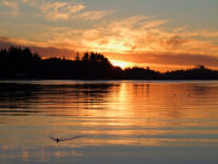 FREE wallpaper-Sunrises-Sunsets-86-Rise-down-by-Otter-Street-UCLUELET-B.C-2009-01-20-FS
