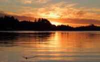 FREE wallpaper-Sunrises-Sunsets-86-Rise-down-by-Otter-Street-UCLUELET-B.C-2009-01-20-WS