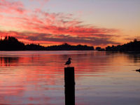 FREE wallpaper-Sunrises-Sunsets-87-Rise-down-by-Otter-Street-UCLUELET-B.C-2009-01-20-FS